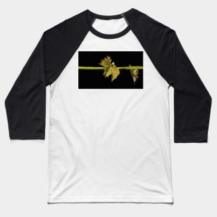 Vine Leaf on black background by Avril Thomas Baseball T-Shirt